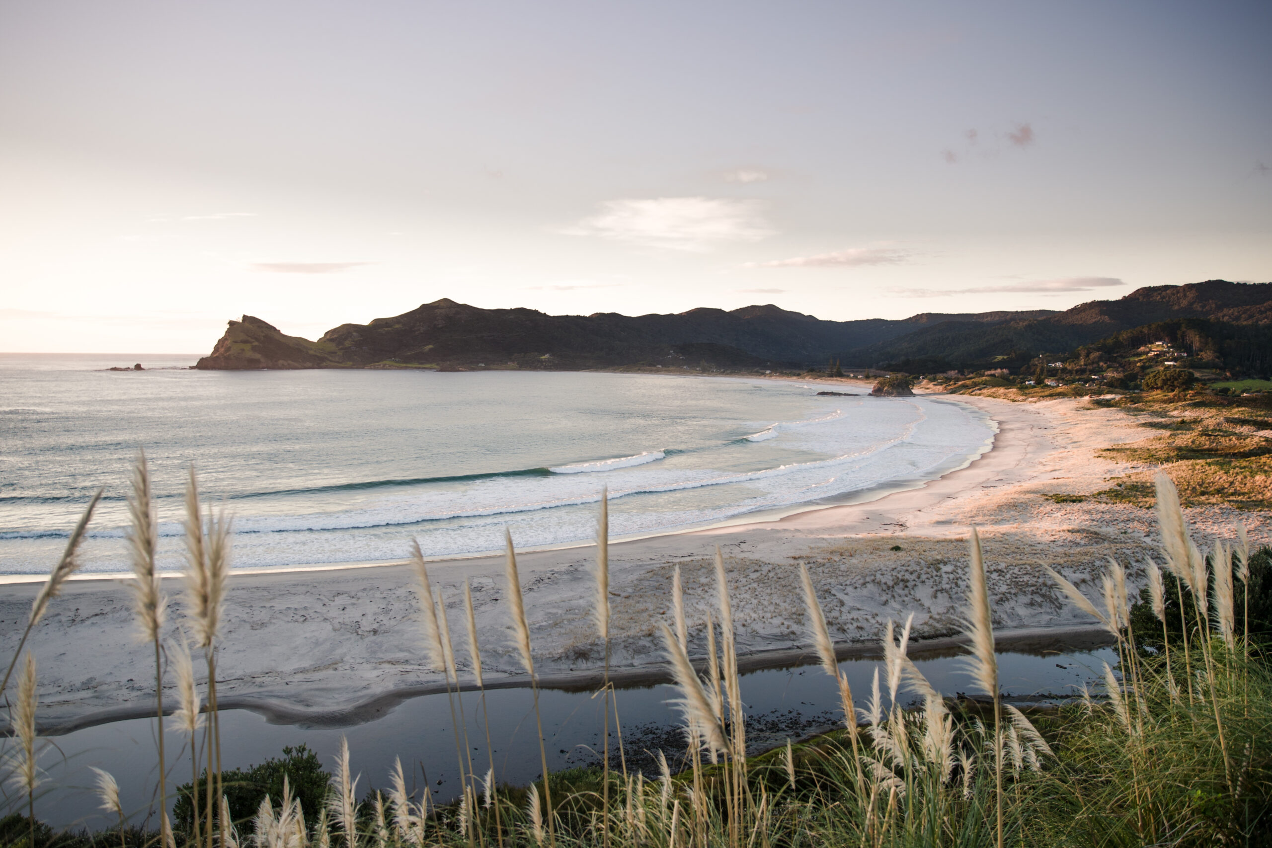 Revitalising beaches and bays of Great Barrier Island