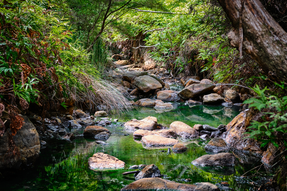 Rejuvenating, natural Kaitoke mineral hot springs