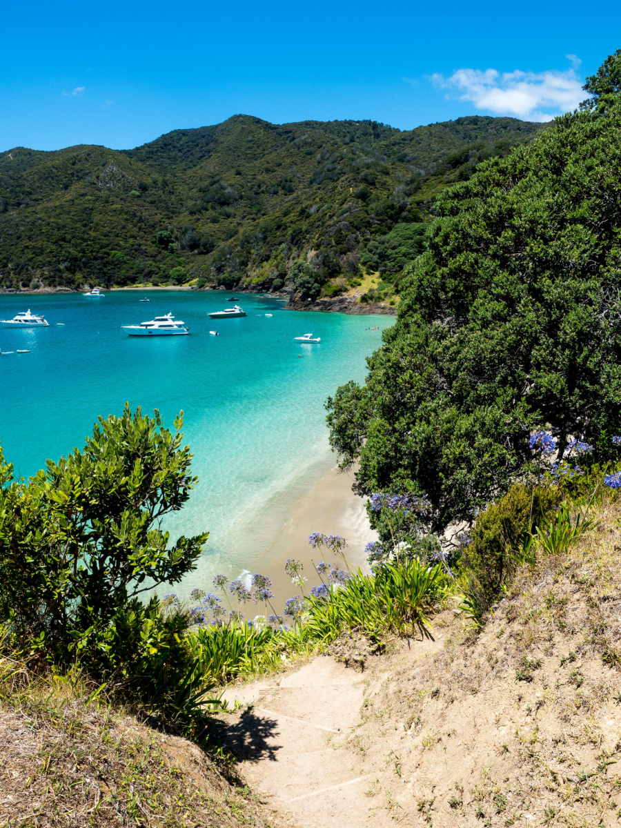 Stunning Oke Bay Blue-Green water, surrounded by NZ native bush