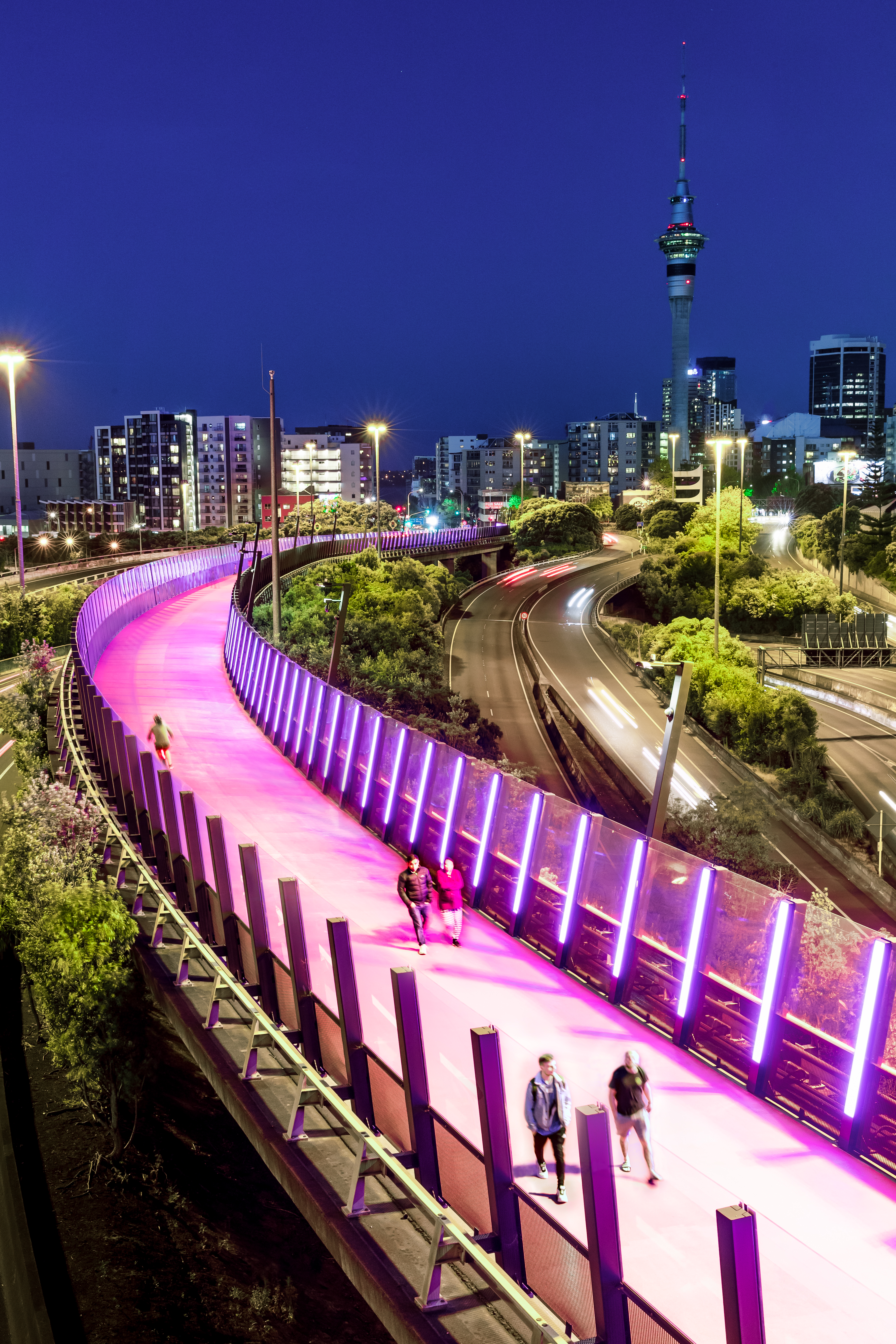 The illuminated pink light path that takes you around the centre city of Auckland