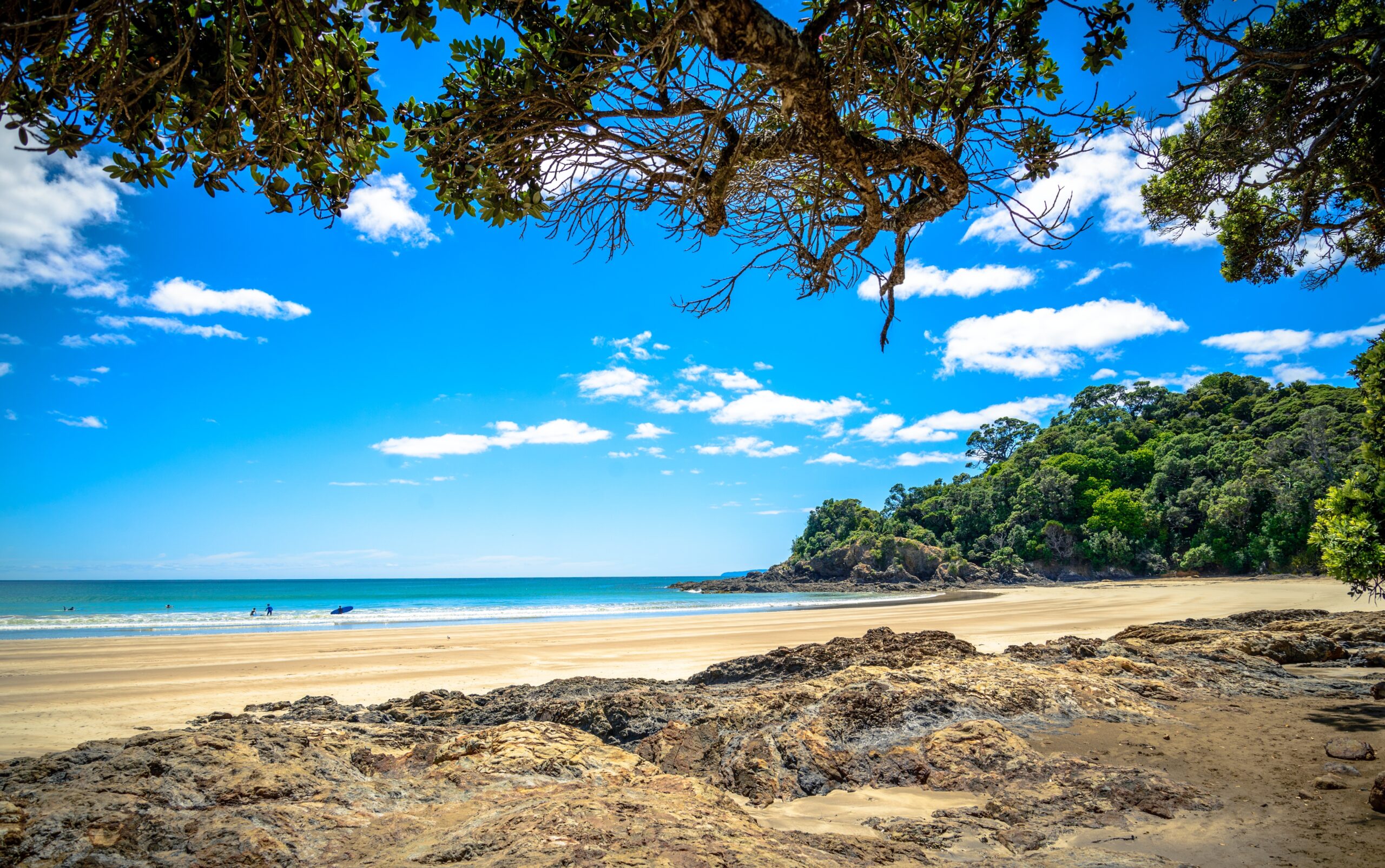 The 9 Best New Zealand Beaches for a Blissful Getaway