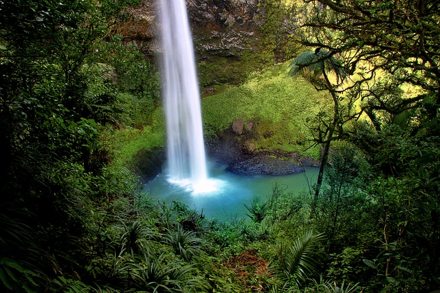 Bridal Veil Falls, Aotearoa New Zealand