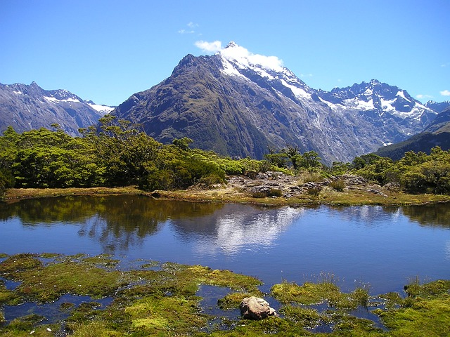 South Island, New Zealand Alpine