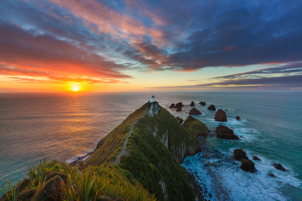 new zealand, nugget point, nugget point lighthouse, sunrise