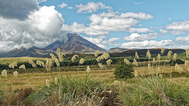 new zealand, tongariro national park, mount ngauruhoe