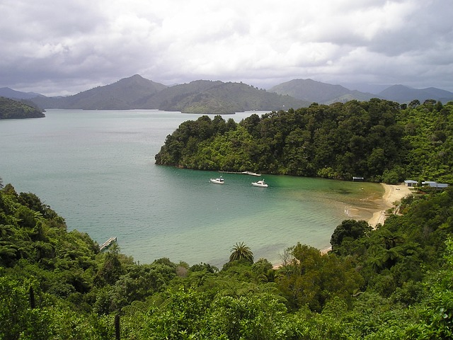 new zealand, south island, queen charlotte sound