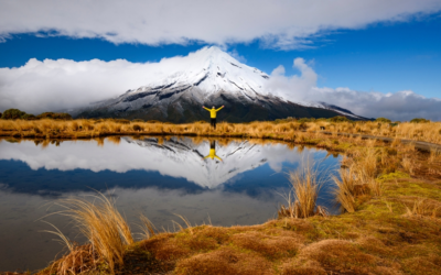 National Parks in New Zealand | The Experience of a Lifetime