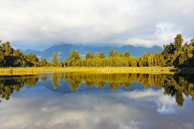 lake, lake matheson, breathtaking, new zealand, forest bathing