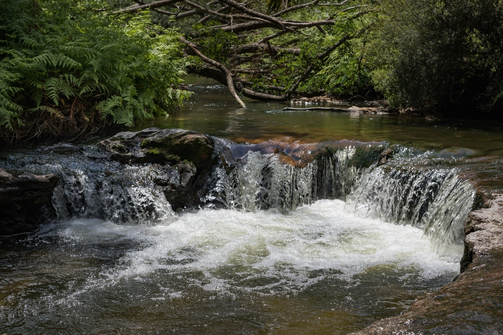 Kerosene creek, rotorua