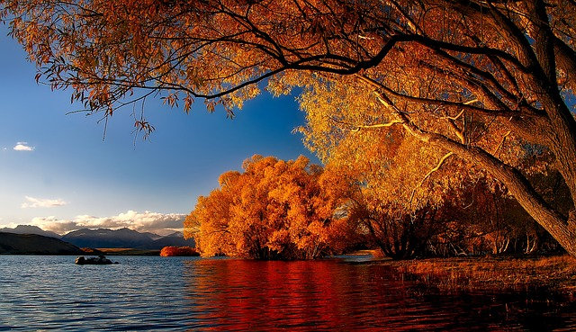 Lakeside Lake Tekapo, Autumn Colours