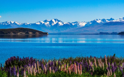 Things to Do in Tekapo for a Mindful Getaway