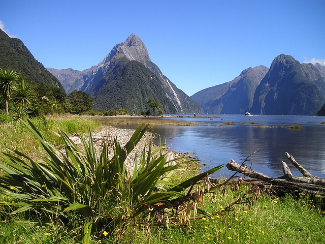 Discovering Milford Sound: A Soulful Escape in Fiordland National Park
