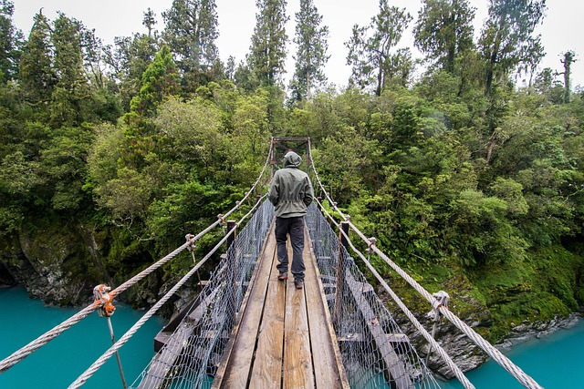 Bridge, Slow Travel, New Zealand