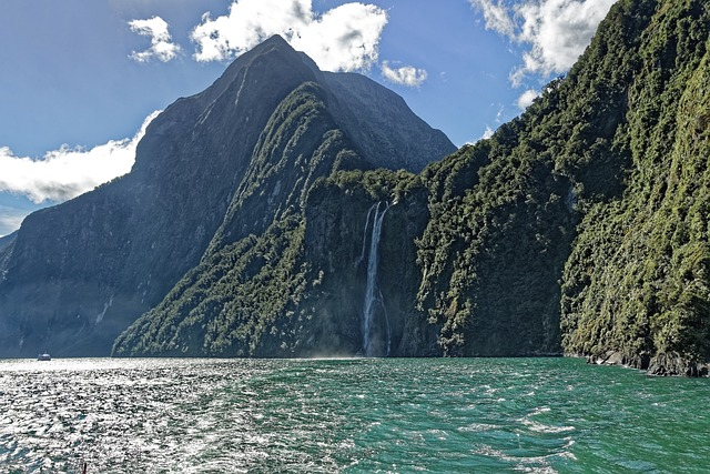 new zealand, milford sound, fjord
