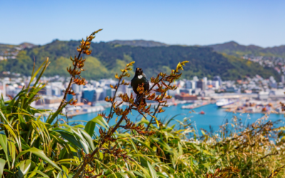 Discover the Top Things to Do at Wellington: Your Essential Adventure Checklist!